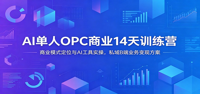 AI单人OPC商业14天训练营：商业模式定位与AI工具实操，私域B端业务变现方案-百货大全