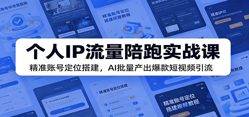 个人IP流量陪跑实战课：精准账号定位搭建，AI批量产出爆款短视频引流-百货大全