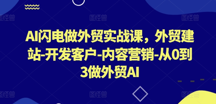 AI闪电做外贸实战课，​外贸建站-开发客户-内容营销-从0到3做外贸AI(更新)-百货大全