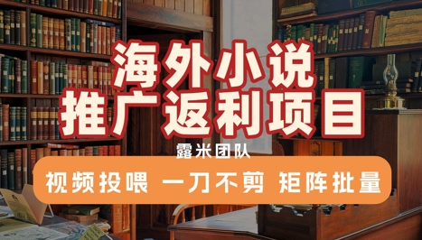 海外小说推广返利项目,视频投喂, 一刀不剪,矩阵批量
