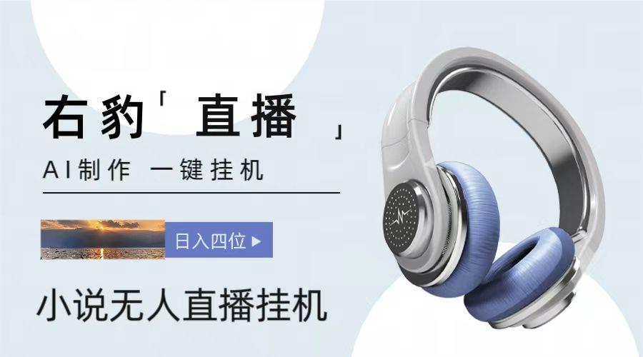 右豹小说无人直播挂机吸金项目,简单易行收益稳定, 月入1000+-百货大全