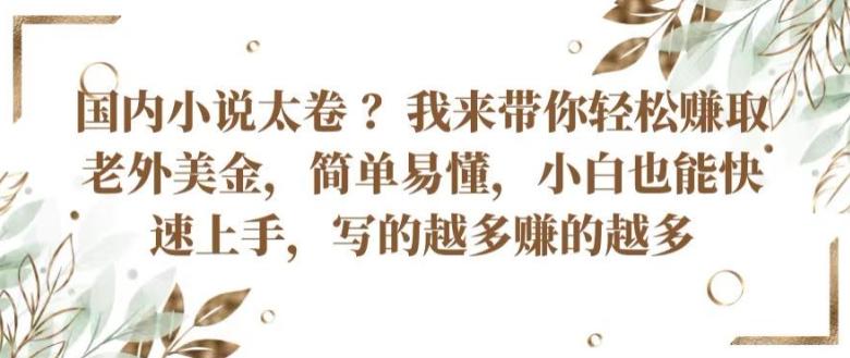 国内小说太卷 ?带你轻松赚取老外美金，简单易懂，小白也能快速上手，写的越多赚的越多【揭秘】-百货大全