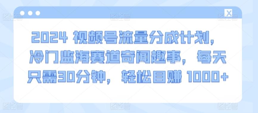 2024视频号流量分成计划，冷门监海赛道奇闻趣事，每天只需30分钟，轻松目赚 1000+【揭秘】-百货大全