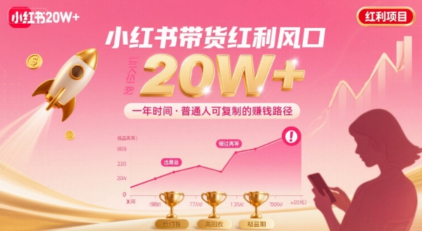 一年时间靠小红书带货项目年入20w+，最不能错的大红利项目-百货大全
