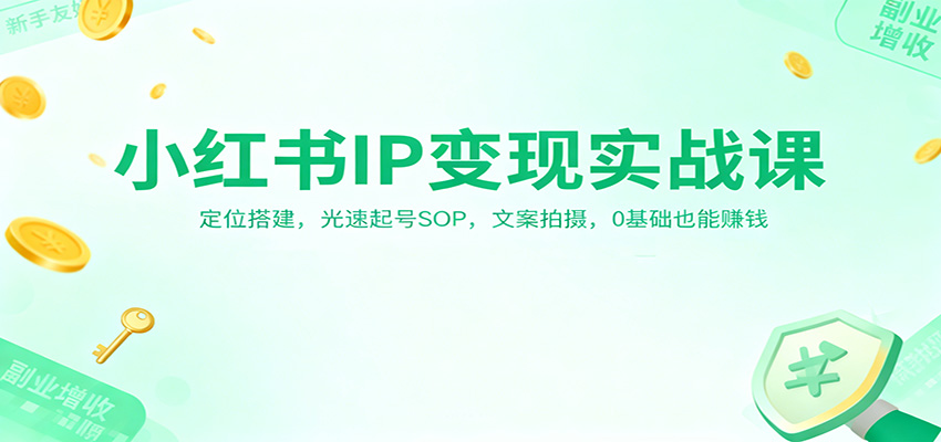 小红书IP变现实战课：定位搭建，光速起号SOP，文案拍摄，0基础也能赚钱-百货大全