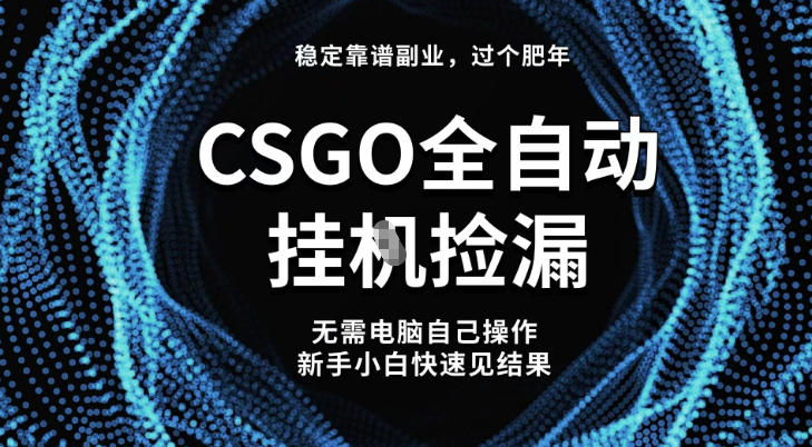 【稳定副业】全球最热门游戏CSGO全自动捡漏，最新玩法，新手小白日入5张+【揭秘】-百货大全