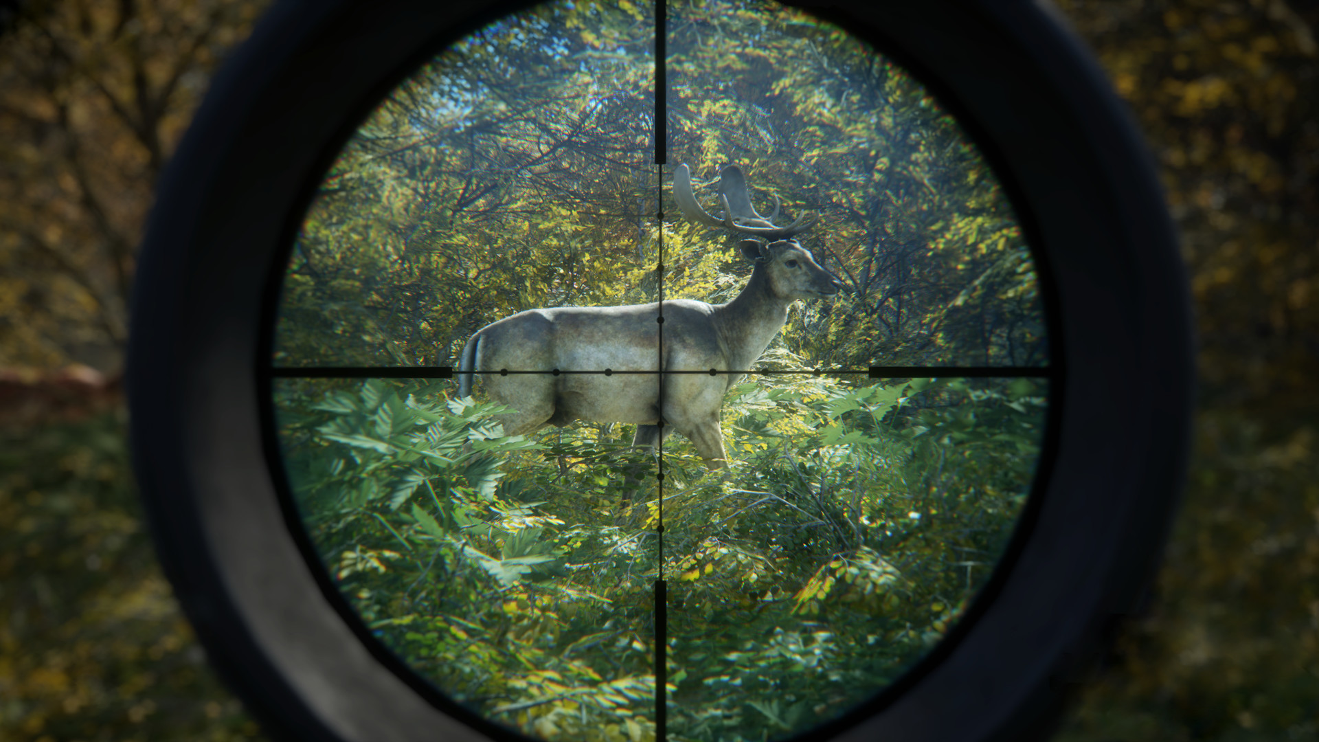 《猎人：荒野的召唤/theHunter: Call of the Wild》PC中文版下载-含v3101875-百货大全