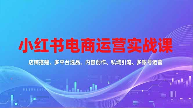 小红书电商运营实战课，店铺搭建、多平台选品、内容创作、私域引流、多账号运营等玩法-百货大全