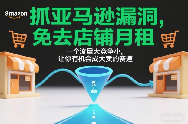 抓亚马逊漏洞，免去店铺月租，一个流量大竞争小，让你有机会成大卖的赛道-百货大全
