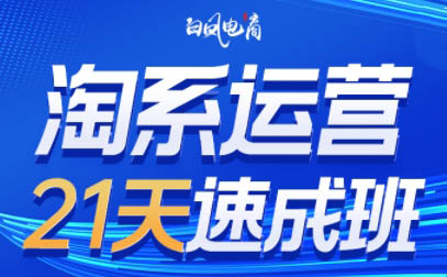 白凤电商·淘系运营21天速成班(更新2026)-百货大全