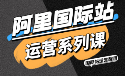 醒目老师·阿里国际站运营系列课(更新3月)-百货大全