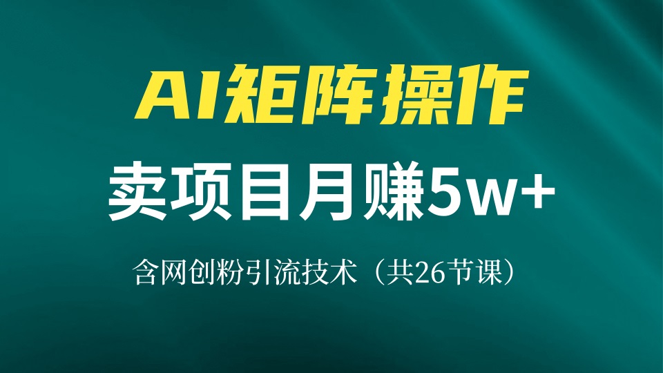 网创IP打造课，借助AI卖项目月赚5万+，含引流技术(共26节课-百货大全