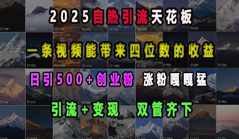 2025自热引流天花板，一条视频能带来四位数的收益，引流+变现双管齐下，日引500+创业粉，涨粉嘎嘎猛-百货大全