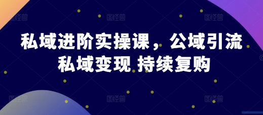 私域进阶实操课，公域引流 私域变现 持续复购-百货大全