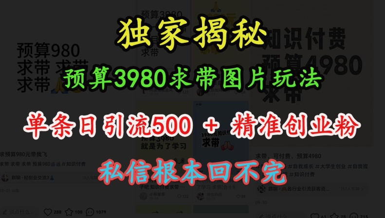 预算3980求带 图片玩法，单条日引流500+精准创业粉，私信根本回不完-百货大全