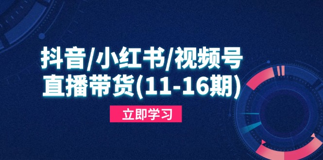 抖音/小红书/视频号/直播带货(11-16期-百货大全