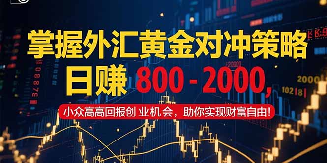 掌握外汇黄金对冲策略，日赚 800 – 2000，小众高回报创业机会，助你实…-百货大全