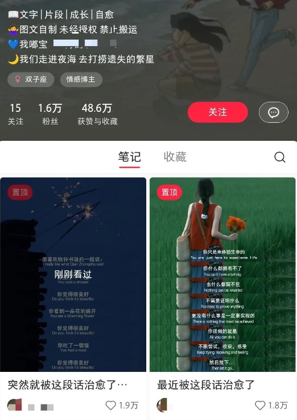 小红书治愈文案图文笔记,零门槛,一分钟制作轻松制作爆款作品月入万元-百货大全