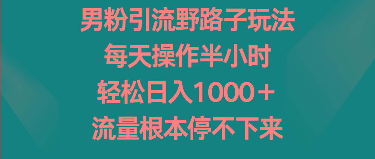 男粉引流野路子玩法,每天操作半小时轻松日入1000+,流量根本停不下来-百货大全