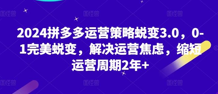 2024拼多多运营策略蜕变3.0,0-1完美蜕变,解决运营焦虑,缩短运营周期2年+