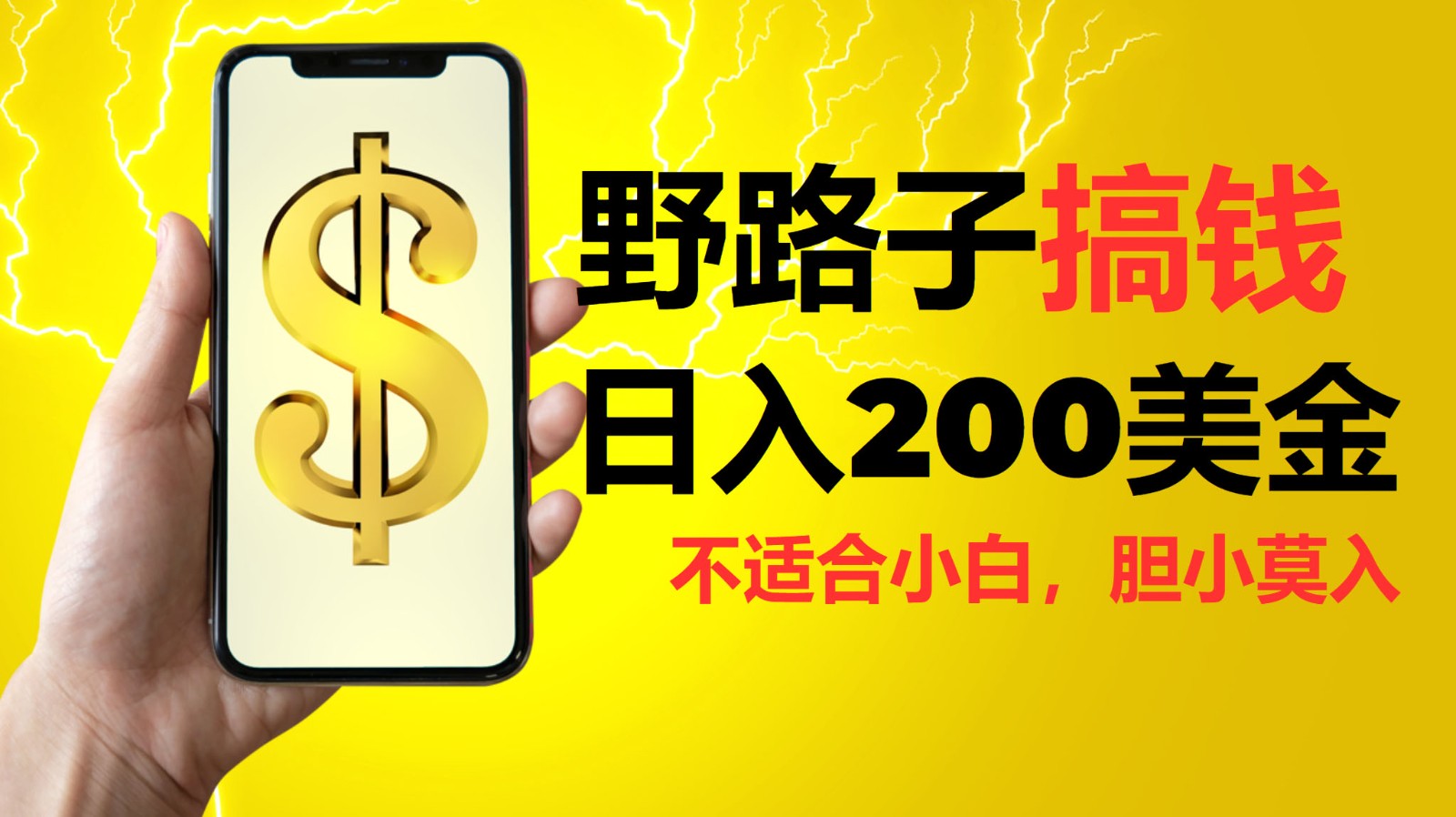 挂机野路子搞钱,日入200美金,路子很野,小白莫入-百货大全