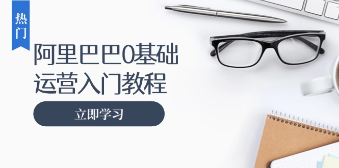 阿里巴巴运营零基础入门教程：涵盖开店、运营、推广，快速成为电商高手-百货大全