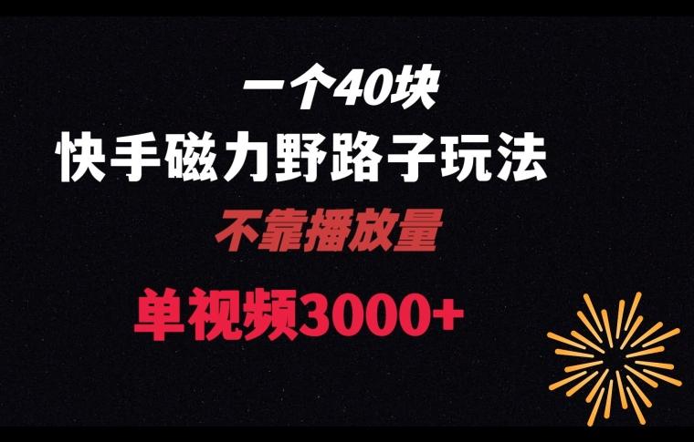 一个40块,快手联合美团磁力新玩法,无视机制野路子玩法,单视频收益4位数【揭秘】