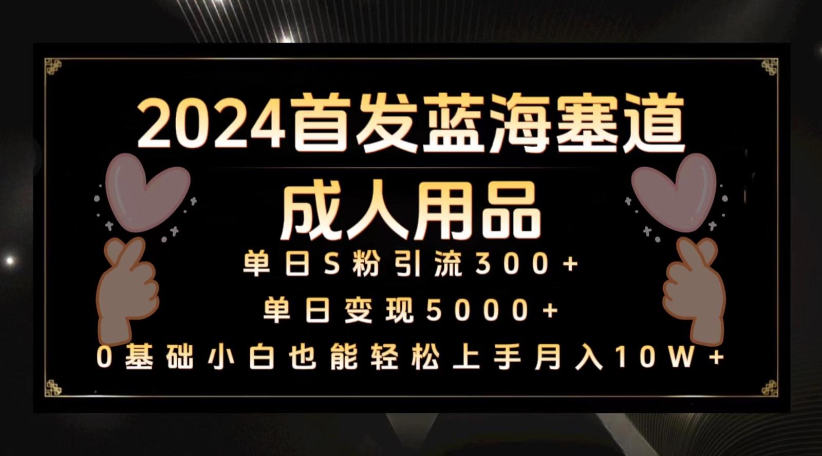 2024首发蓝海塞道成人用品,月入10W+保姆教程-百货大全