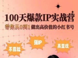小红书100天爆款IP实战营，带你从0到1做出高价值的小红书号-百货大全