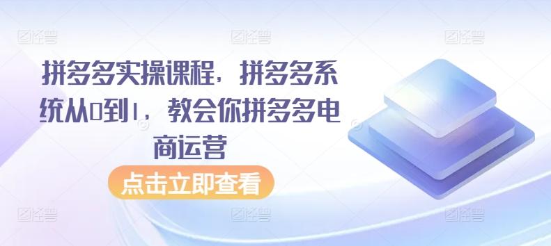 拼多多实操课程，拼多多系统从0到1，教会你拼多多电商运营-百货大全