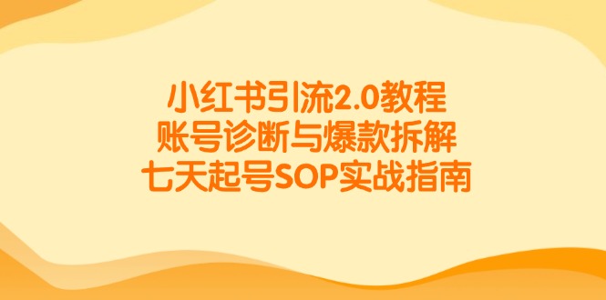 小红书引流2.0教程,账号诊断与爆款拆解,七天起号SOP实战指南-百货大全