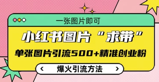 小红书图片‘求带’爆火引流法,单张图片引流500+精准创业粉【揭秘】